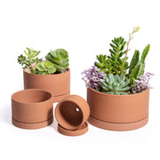 D'vine Dev front view of four terracotta pots for neat displays