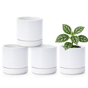 D'vine Dev front view of four white ceramic pots shown neatly packaged, attractive display