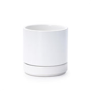 D'vine Dev front view showing clean white finish and sleek shape for modern décor