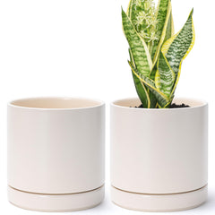 D'vine Dev front view of two oatmeal ceramic pots showing clean modern styling and balance