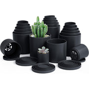 D'vine Dev front packaging showing full 20-pack and sizes for easy purchase
