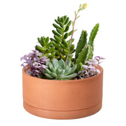 D'vine Dev front view terracotta planter showing simple round profile and balance