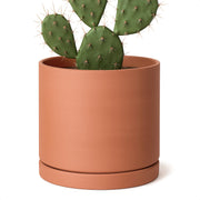 D'vine Dev front view of 8 inch terracotta pot showing minimalist look and balance