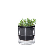 D'vine Dev front view black terracotta planter showing modern look and tidy benefit