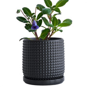 D'vine Dev front view of ebony matte pot showing sleek silhouette and styling benefit