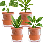 D'vine Dev front view of four-pack terracotta planters showing neat tabletop benefit