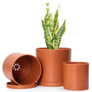 D'vine Dev front view of 3-pack terracotta pots showing sizes and benefit lightweight durability