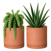 D'vine Dev front view of two pots showing clean minimalist look and versatility
