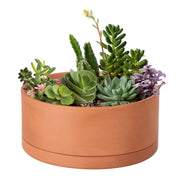 D'vine Dev front view of 10in terracotta planter showing clean round silhouette and balance