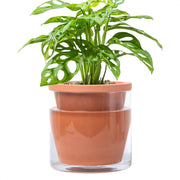 D'vine Dev front view showing terracotta planter and clear reservoir, adds modern charm