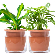 D'vine Dev front view terracotta planter shows clean design and convenience
