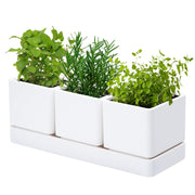 D'vine Dev front view of three-pot set showing compact design and tidy display
