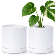 D'vine Dev front view of two white ceramic planters showing clean lines and balance