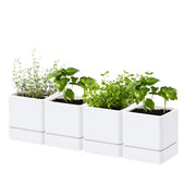 D'vine Dev front view of four white planters showing clean minimalist look and neat grouping benefit