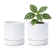 D'vine Dev front view of two white ceramic pots showing minimalist appeal and versatility