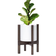 D'vine Dev front view of white pot with walnut stand showing sleek silhouette and stability