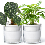 D'vine Dev front view of white terracotta 2-pack showing chic design and tidy look