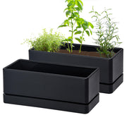 D'vine Dev front view window box showing sleek black finish and space-saving shape