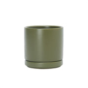 D'vine Dev front view of olive planter showing clean modern shape and finish