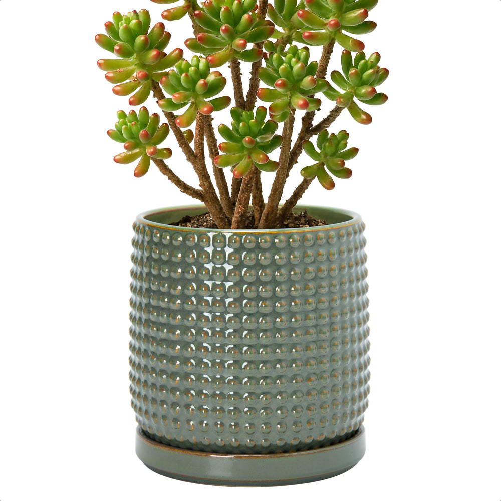 D'vine Dev ceramic pot front view showing olive finish and beaded rim with decorative appeal