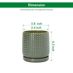 D'vine Dev top view showing matching saucer and olive glaze for neat water catchment