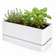 D'vine Dev front view of white rectangular planter showing clean modern lines and space-saving shape