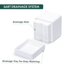 D'vine Dev detached saucer pictured to show easy removal and surface protection
