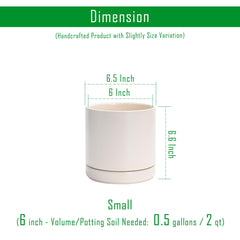 D'vine Dev matching ceramic saucer closeup catching runoff and protecting surfaces