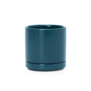 D'vine Dev front view of teal planter showing clean cylinder and stylish look