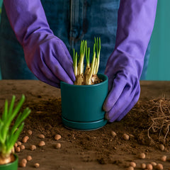 D'vine Dev pot with matching saucer top-down view showing drainage setup