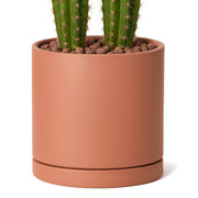 D'vine Dev front view of terracotta pot showing clean minimalist design and balance