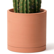 D'vine Dev front view of 12-inch terracotta pot showing minimalist look and durability
