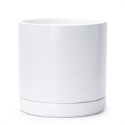 D'vine Dev front view of white ceramic planter showcasing clean modern silhouette and decor versatility