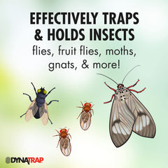 DynaTrap StickyTech installed in Flylight trap demonstrating concealed protection