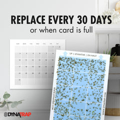 DynaTrap StickyTech used card with captured insects illustrating effective trapping