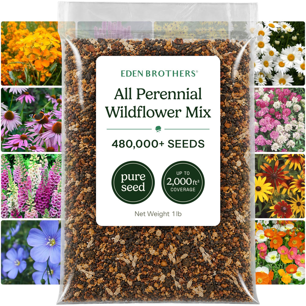 Eden Brothers front package showing 1 lb perennial wildflower blend, clear product information