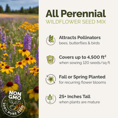 Eden Brothers close-up of seed mix texture, shows diverse seed types for even germination