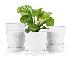 EFISPSS front view of four white ceramic planters protects surfaces