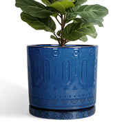 Eightpot blue front view showing round planter and elegant design benefit: stylish display