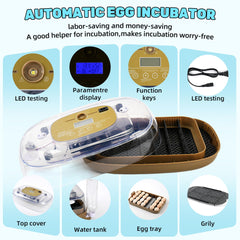 Elitevia interior tray with eggs demonstrating adjustable spacing advantage