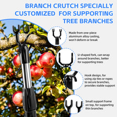 Elyssnova pole supporting a fruit‑laden branch to prevent breakage