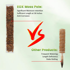 EOX pole with Monstera attached demonstrating vertical training benefit