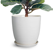 EPFamily front view of 12-inch planter shows modern white finish and size benefits