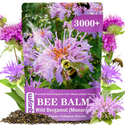 EquSym packaging front view showing seed count and purple blooms benefit