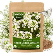 EquSym packaging front view showing bulk seed quantity and product branding benefits