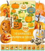 EquSym front packaging showing 10-variety heirloom pumpkin seeds and clear labeling for easy gifting