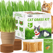 EquSym front packaging showing kit contents and gifting appeal