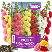 EquSym front packaging showing bulk seed quantity and mixed colors benefit clarity