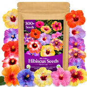 EquSym front packaging showing mixed hibiscus seed count and color mix for easy planting