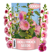 EquSym seed pack front view showing mixed-color hollyhock variety benefits
